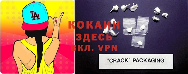стафф Аркадак