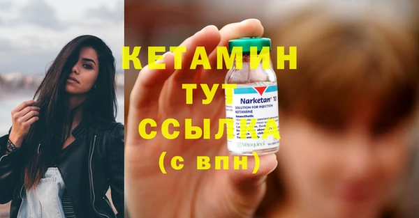 стафф Аркадак