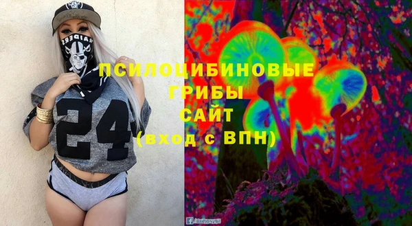 гашик Россошь
