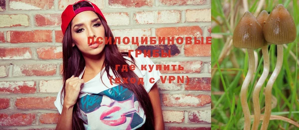 дживик Балабаново