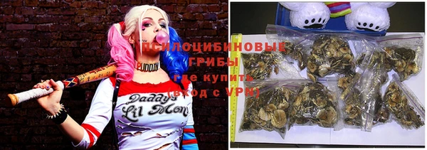 бошки Арсеньев