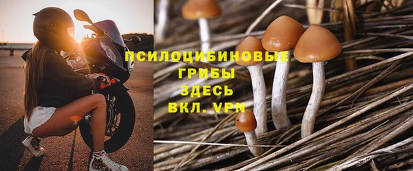 стафф Аркадак