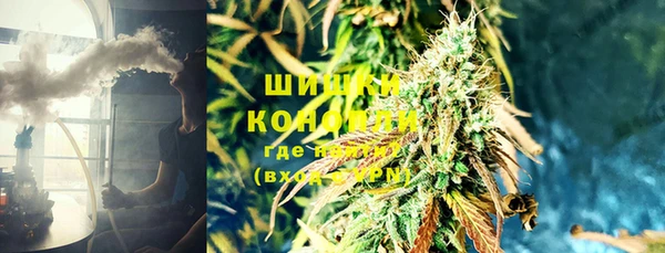 ПСИЛОЦИБИНОВЫЕ ГРИБЫ Балахна