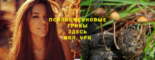 спайс Армянск