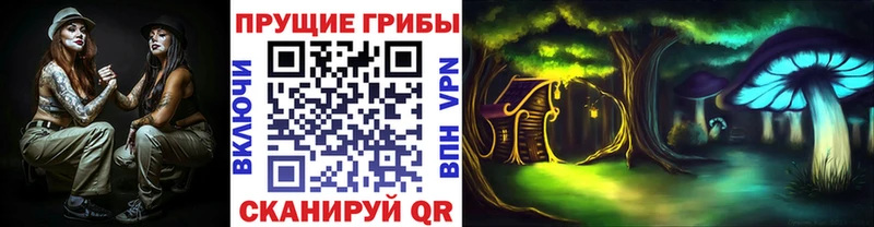 цена наркотик  Балей  Галлюциногенные грибы ЛСД 